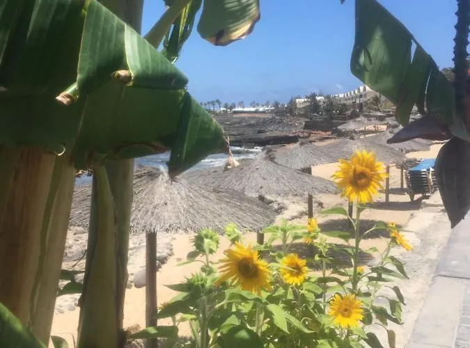 Brisas Complex, 104