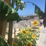 Brisas Complex, 104